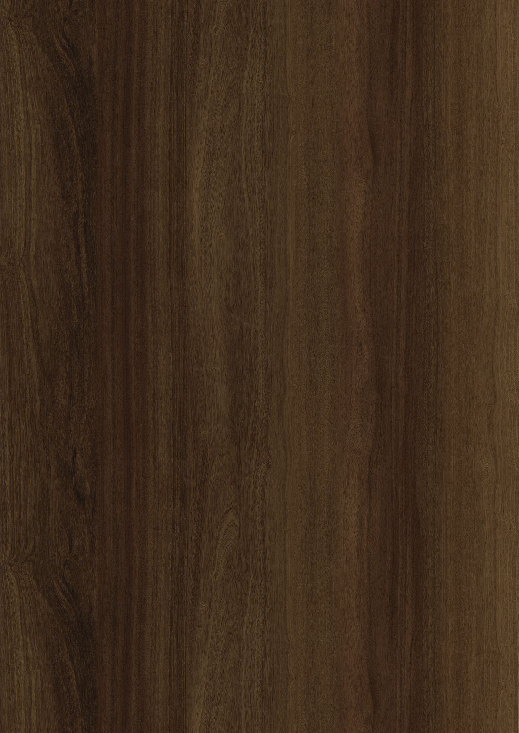 AFRICAN SAPELE AFRICAN SAPELE