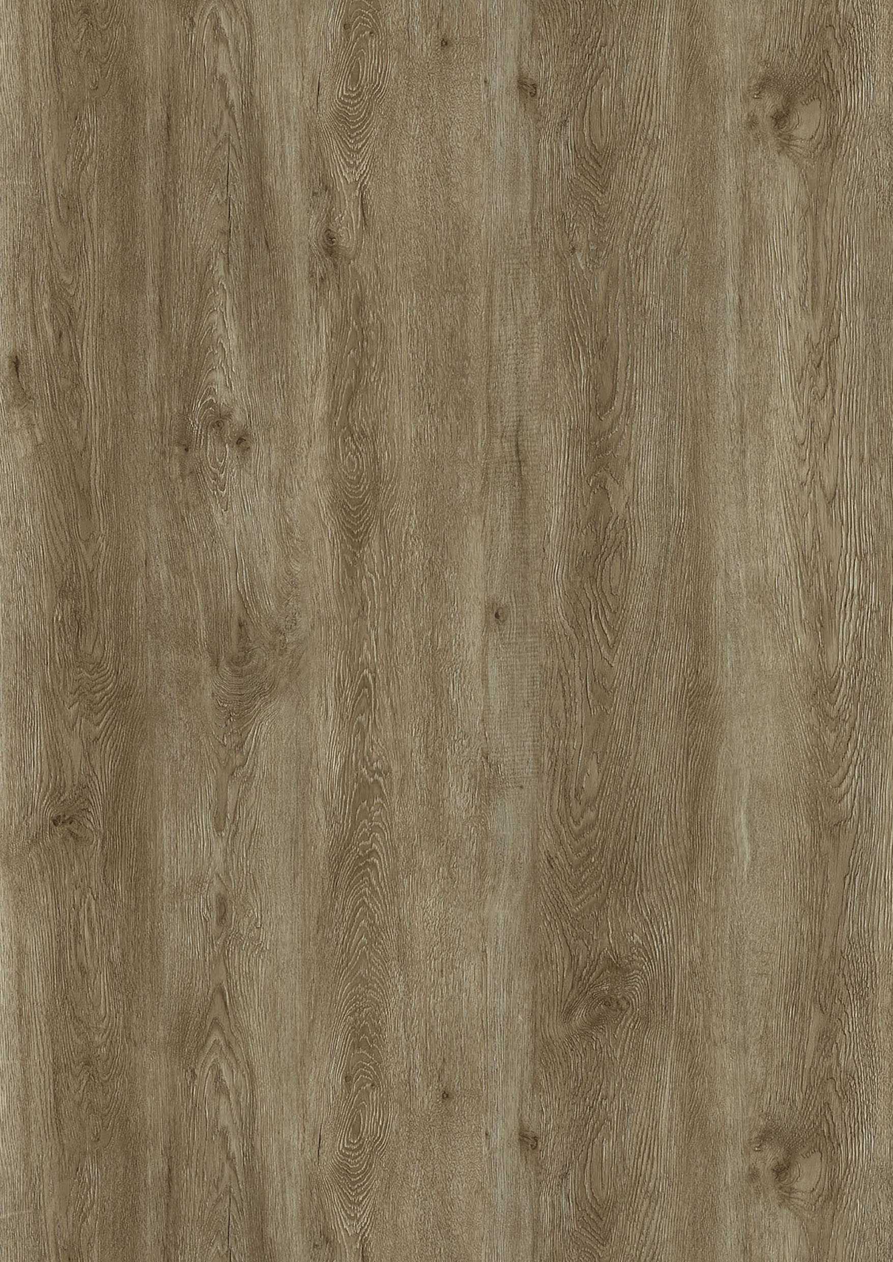 OAK WOOD OAK WOOD