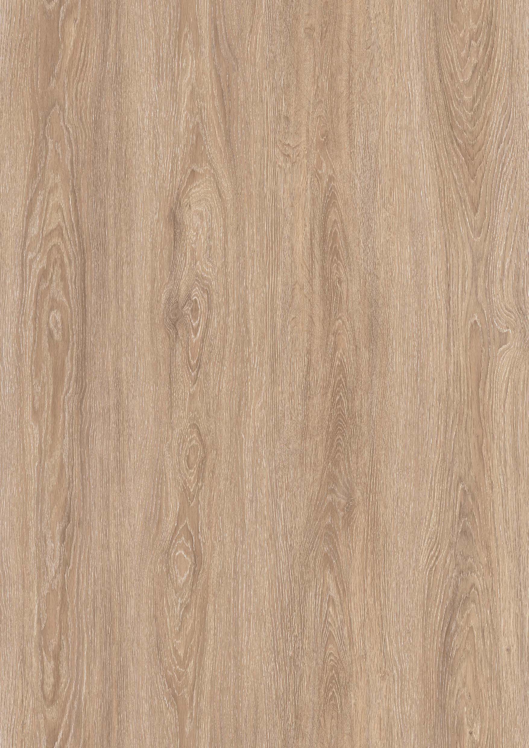 CANARY OAK CANARY OAK